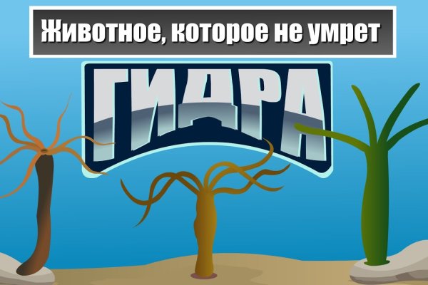 Кракен продажа