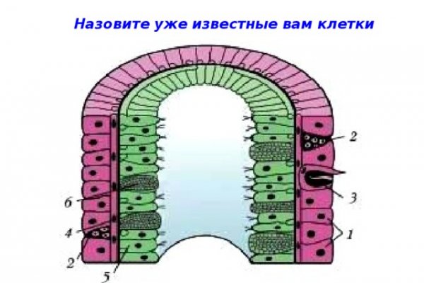 Кракен даркнет регистрация