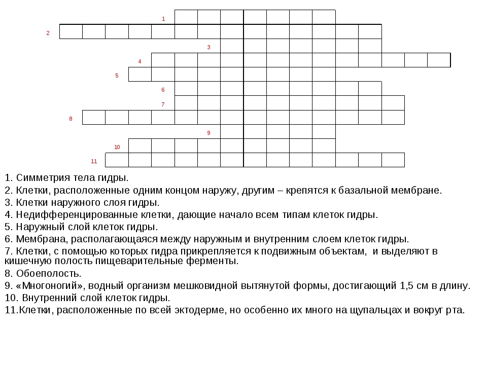 Kraken darknet sliv php