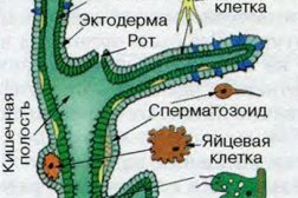 Кракен официальный сайт онион